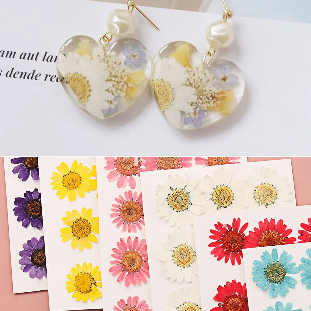 12PCS/Bag Dried Flower Diy Art Decals Crafts Epoxy Resin Daisy Mold Fillings Pressed Leaf Daisy Flower Jewelry Making Kit ﻿