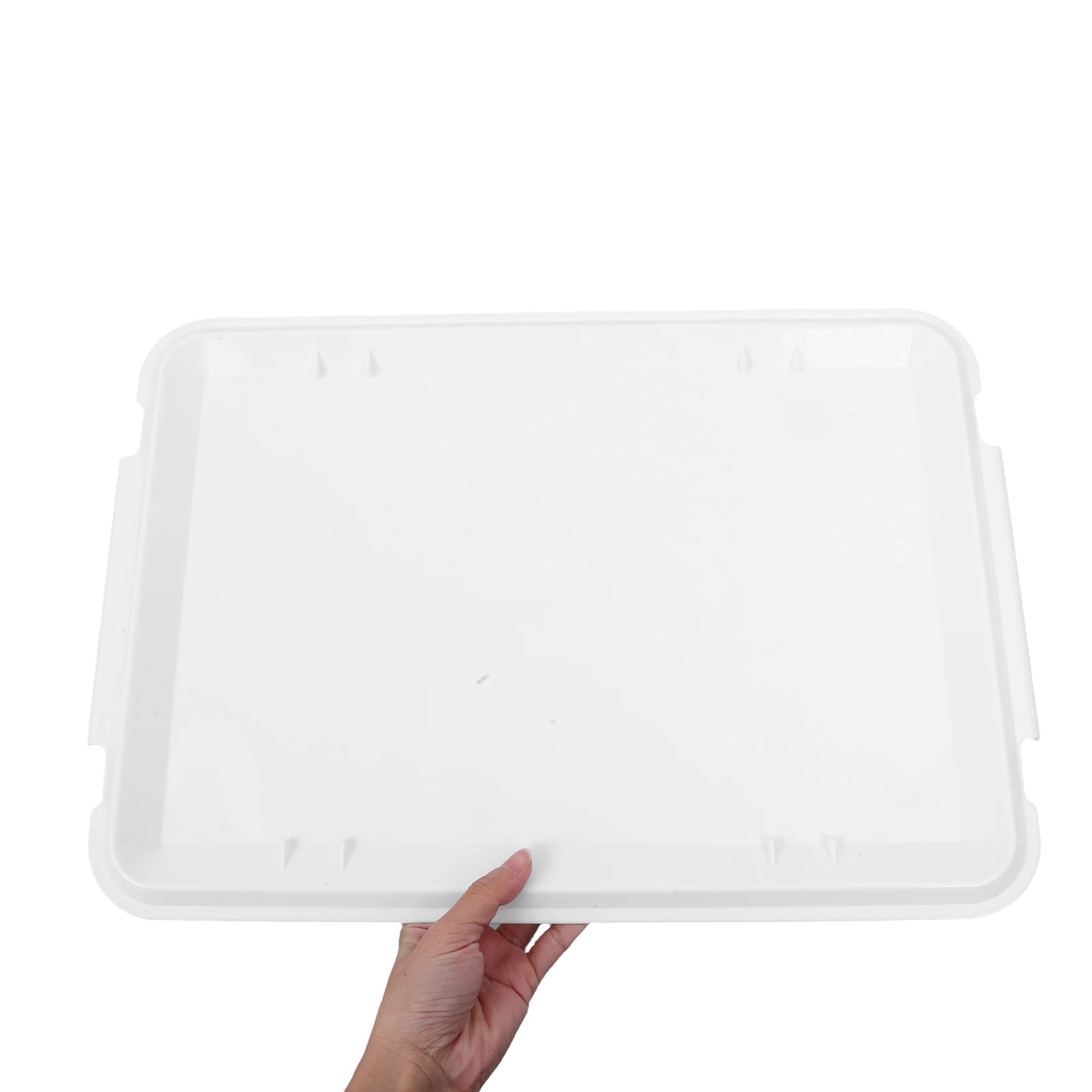 

Bread Fermentation Box Lid Pizza Dough Container Tray Making Accessories Proofing Storage White Food Case