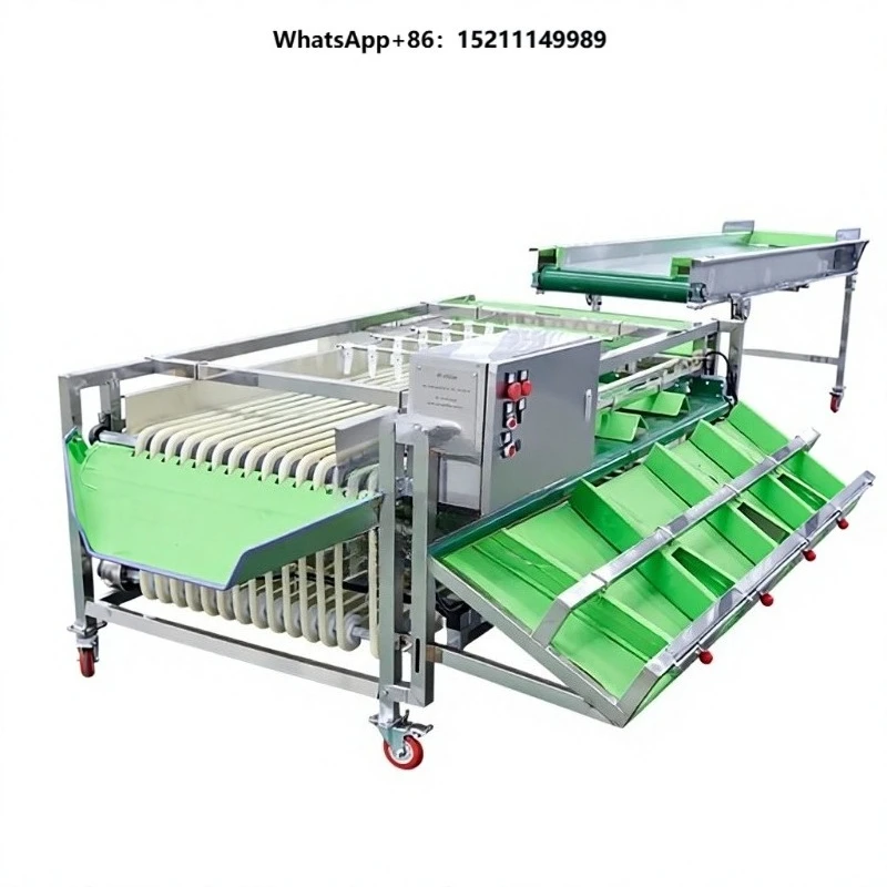 Automatic Fruit Vegetable Nuts Sorting Grading Machine with 304 Stainless Steel for Tomato Potato Blueberry Dates