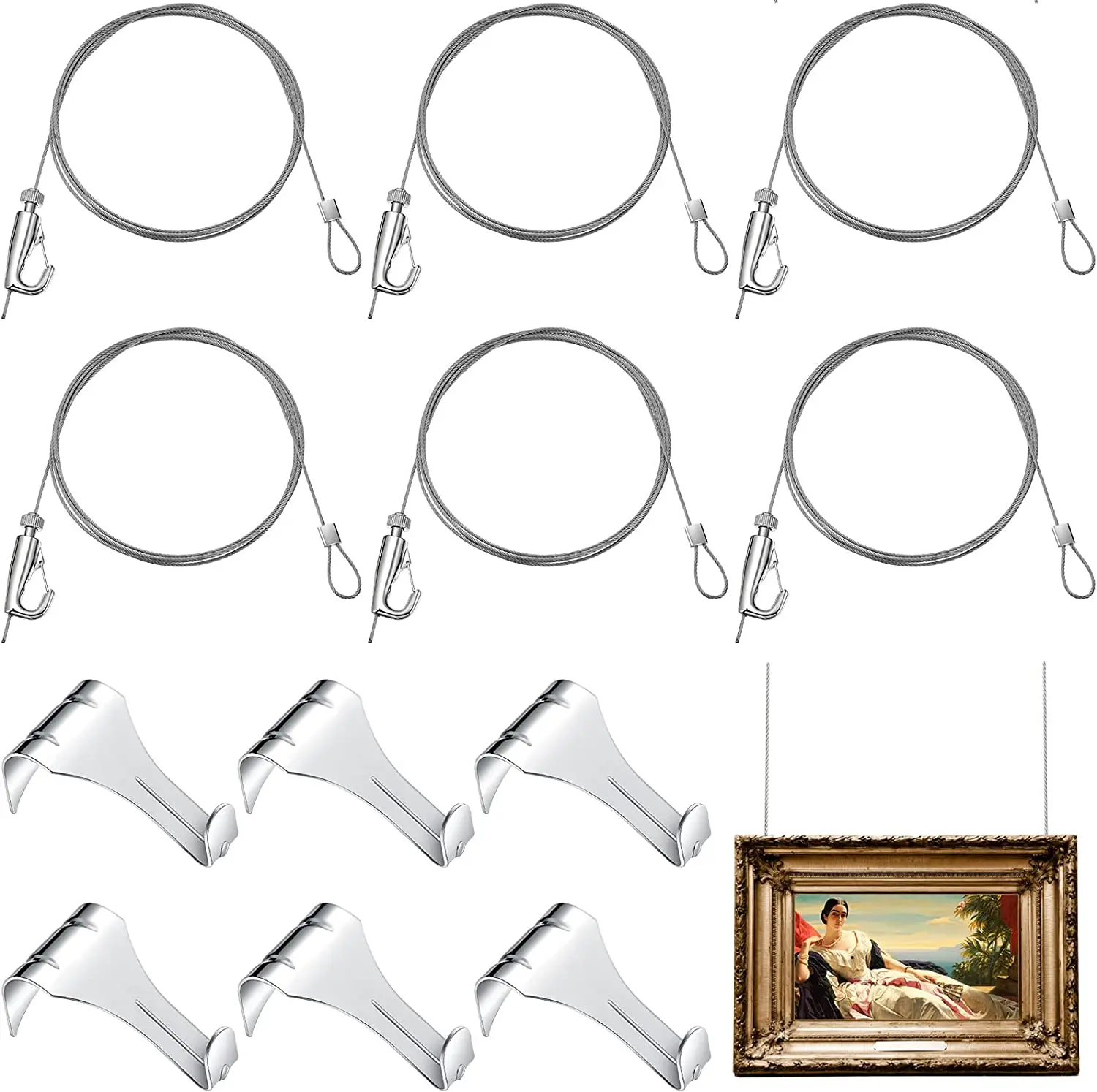 

6pcs 2M Picture Rail Hooks and Adjustable Photo Self-gripping Hooks for Wall Picture Exhibition Art Gallery Supplies