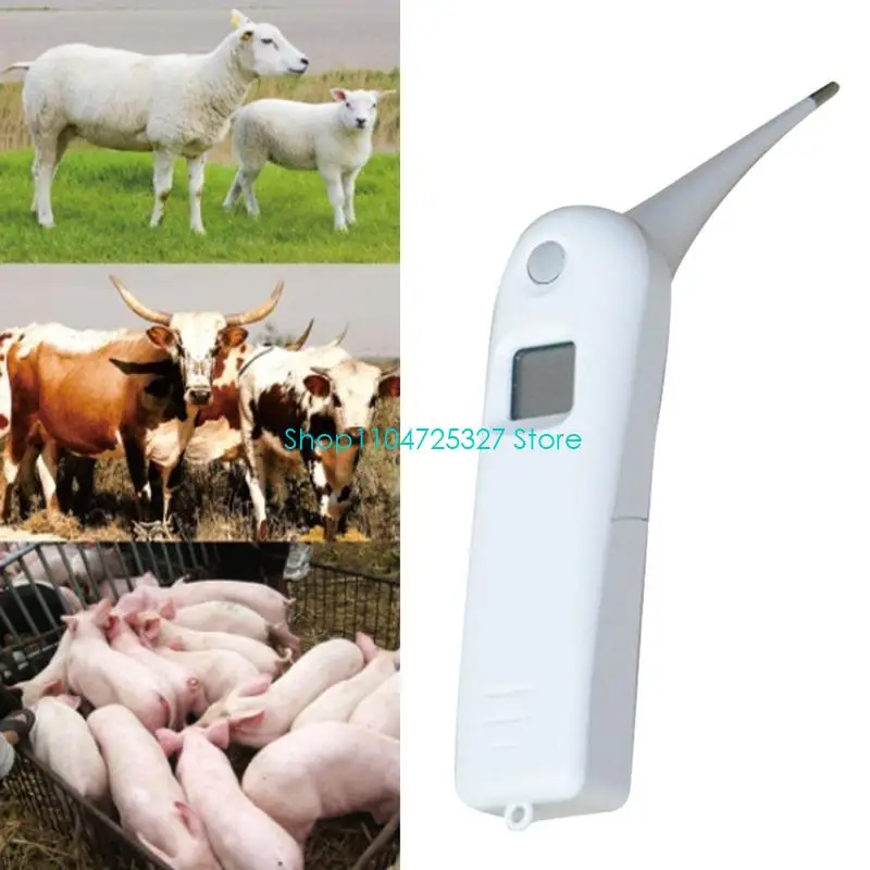 

D8KF Ветеринарный термометр, быстрый термометр, дает точную температуру, подает звуковые сигналы, автоматически выключается для