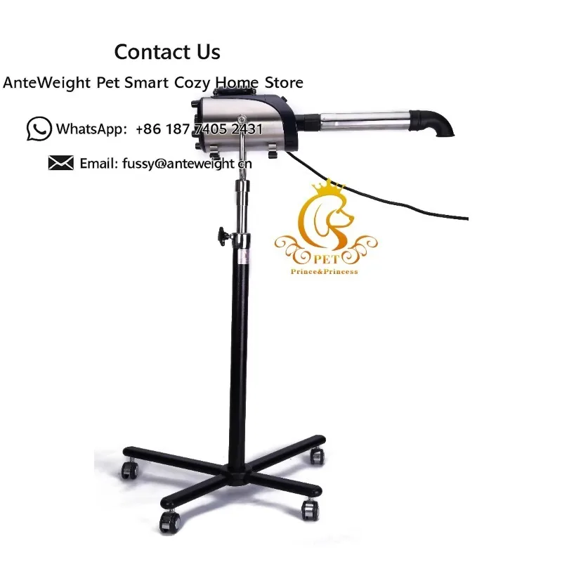Medical Wall-mounted Pet Hair Grooming Dryer Variable 40-60m/s Wind Speed and 40-60 Temperature Dog Hair Dryer