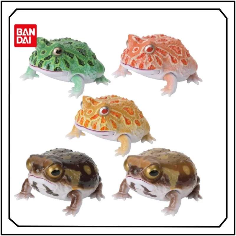 

Breviceps Adspersus Gashapon Collection Desktop Ornament Actio Figure Model Toys New