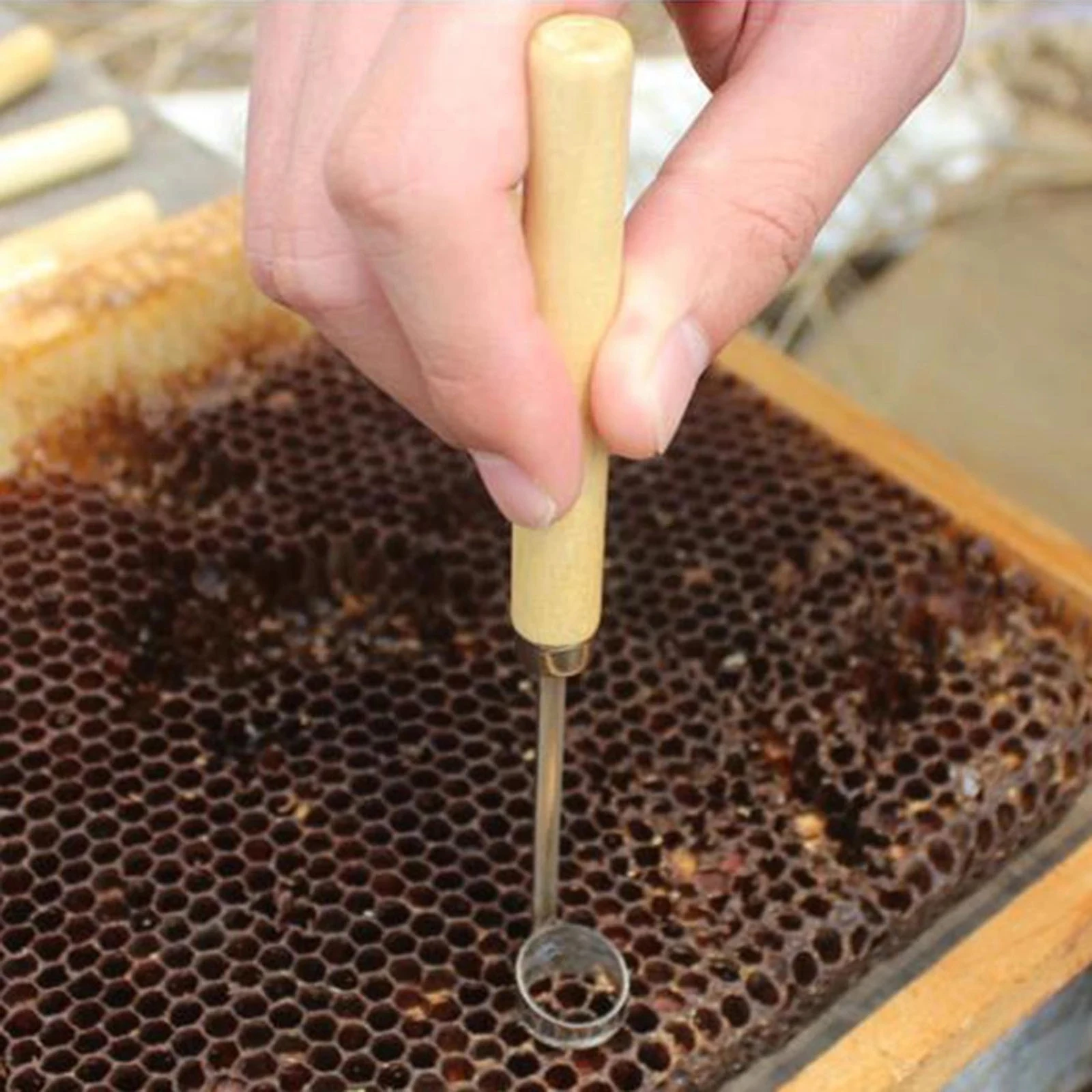 Beekeeping BeeHive Tools Beehive Cleaning Scraper Functional Honey Remover Beekeepers Supplies for Beekeeper Garden Equipment