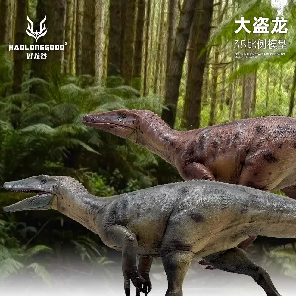 Haolonggood Megaraptor Prehistoric Dinosaur Model 1 35 Scale Scientific Restoration Collectible Gift For Adult Collectors