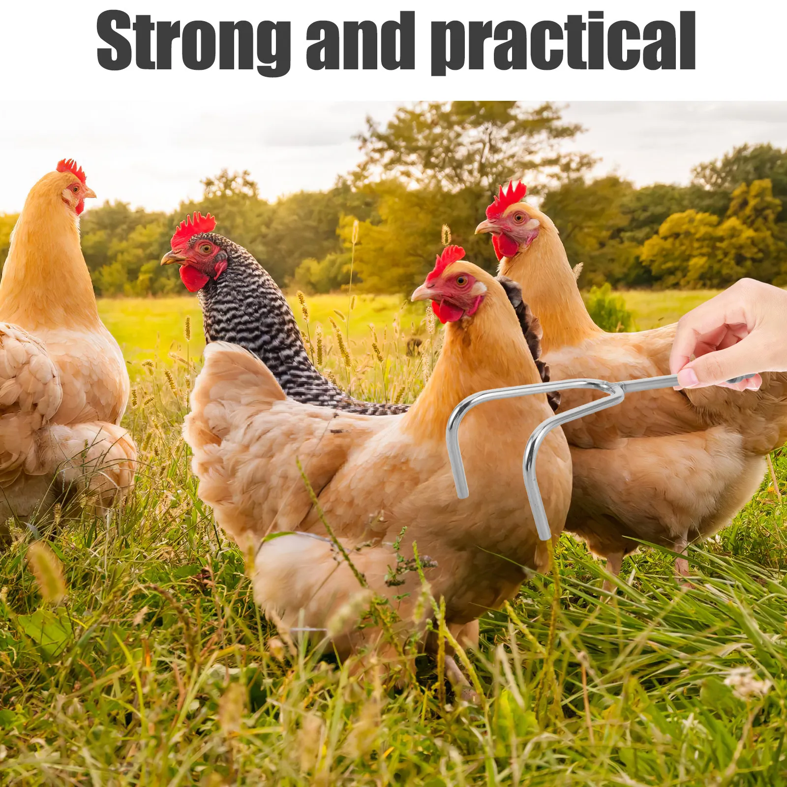 Poultry Leg Hook Stainless Steel Chicken Catching Leg Hook Screw-in Fowl Catching Pole Coop Accessory Chicken Grabber Tool