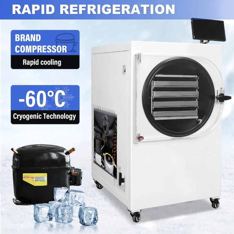 -60℃ Professional Suitable Food, Commercial Dryer, Automatic Defrost, 4SS Trays, Freeze Dryer For Emergency Food