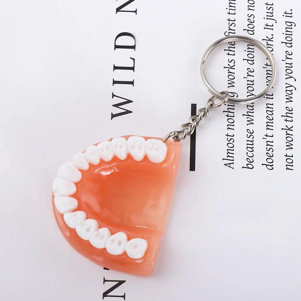 Creative Dental Decoration Simulation Resin Upper Jaw Teeth Pendant Teeth Keyring Denture Key Chain Tooth Key Chain