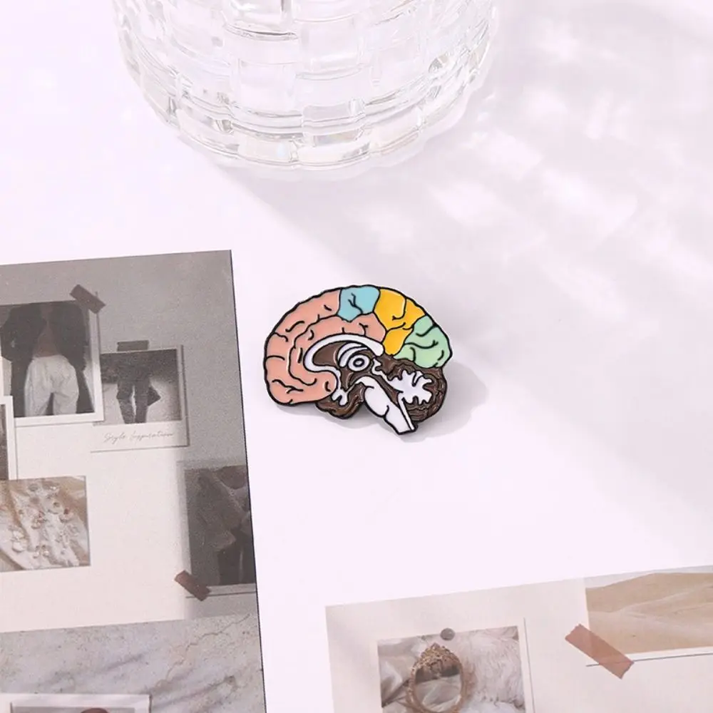 Delicate Anatomy Medicine Brain Brooch Small Badge Collar Pin Badge Enamel Lapel Badge Pins Cute Corsage Creative Brooch Doctors