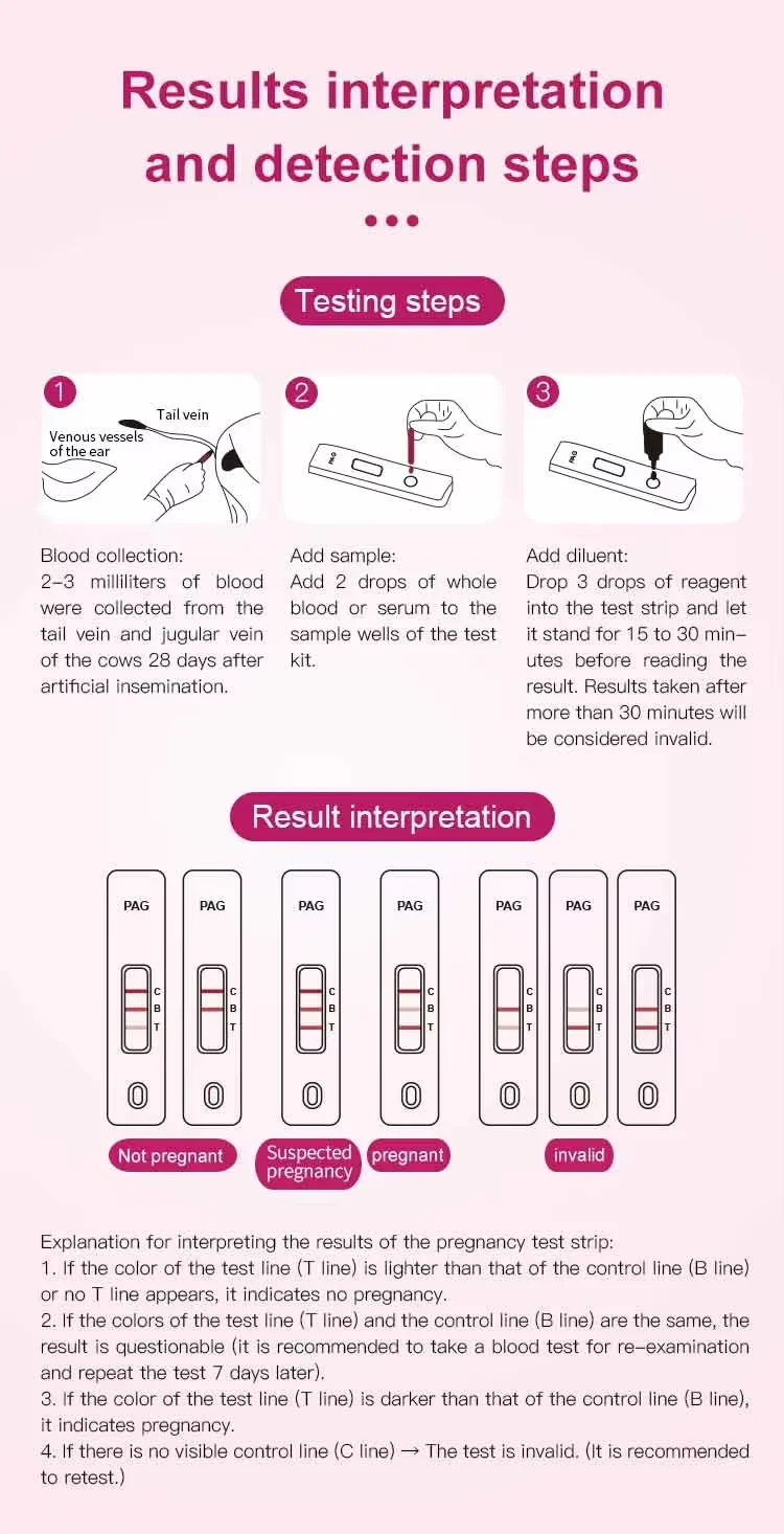 Trächtigkeitsteststreifen für Kühe, Frühtestkarte für Rinder zur Veterinärmedizinischen Erkennung bei Milchvieh, Testkit für Vollblut & Serum, 1-25 Stück – Detail 1