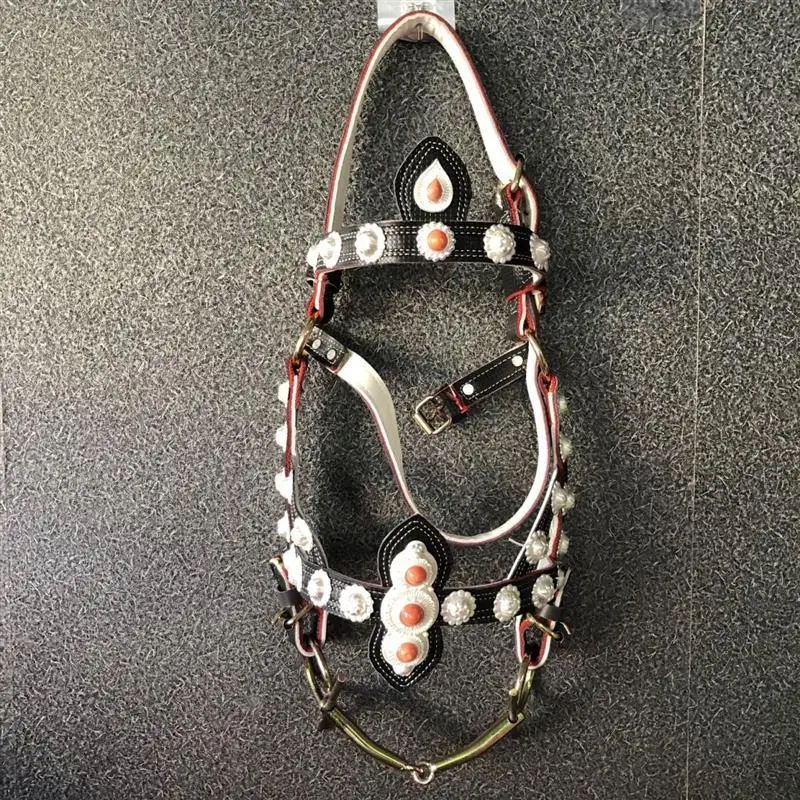 Horse Bridle and Halter, Tibetan Style Tack Set, Riding and Racing, Complete Set with Reins and Saddle Accessories