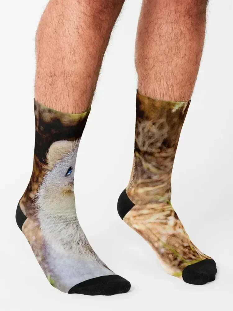 Be happy like a quokka Socks floral halloween retro Heating sock Male Socks Women's