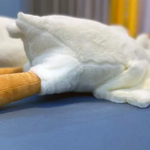 8 Hauptverkäufe Aizulhomey - №3