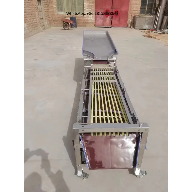 Factory Price Automatic Industrial Root Vegetable Fruit Picker Potato Grader Mangosteen Fruit Grading Machine