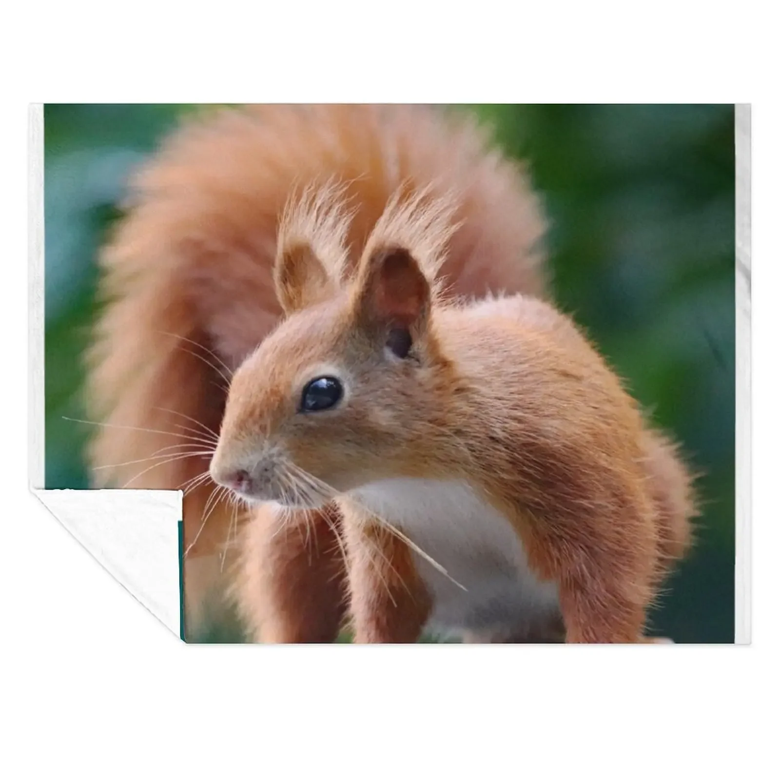 

A Gorgeous Red Squirrel Throw Blanket Decorative Sofa Summer Beddings Soft Plush Plaid Extra Large Throw Blankets