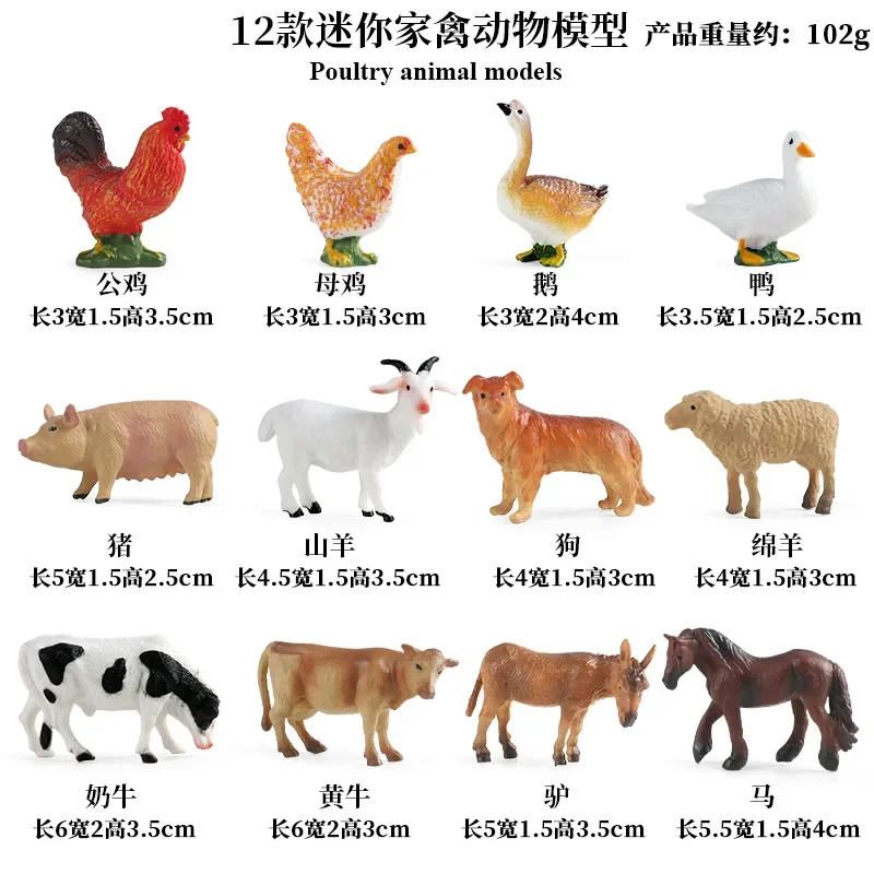 Simulation Science Biology Kids Education Teaching Tool Poultry Animal Mini Model Cow Chicken Duck Goose Pig Goat Decoration Toy