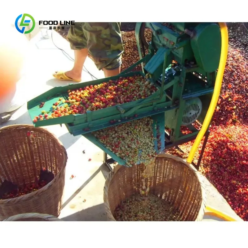 Customized Engine Driven Coffee Cherry Depulper Huller High Efficiency Commercial Processing Machine Carbon Steel Construction