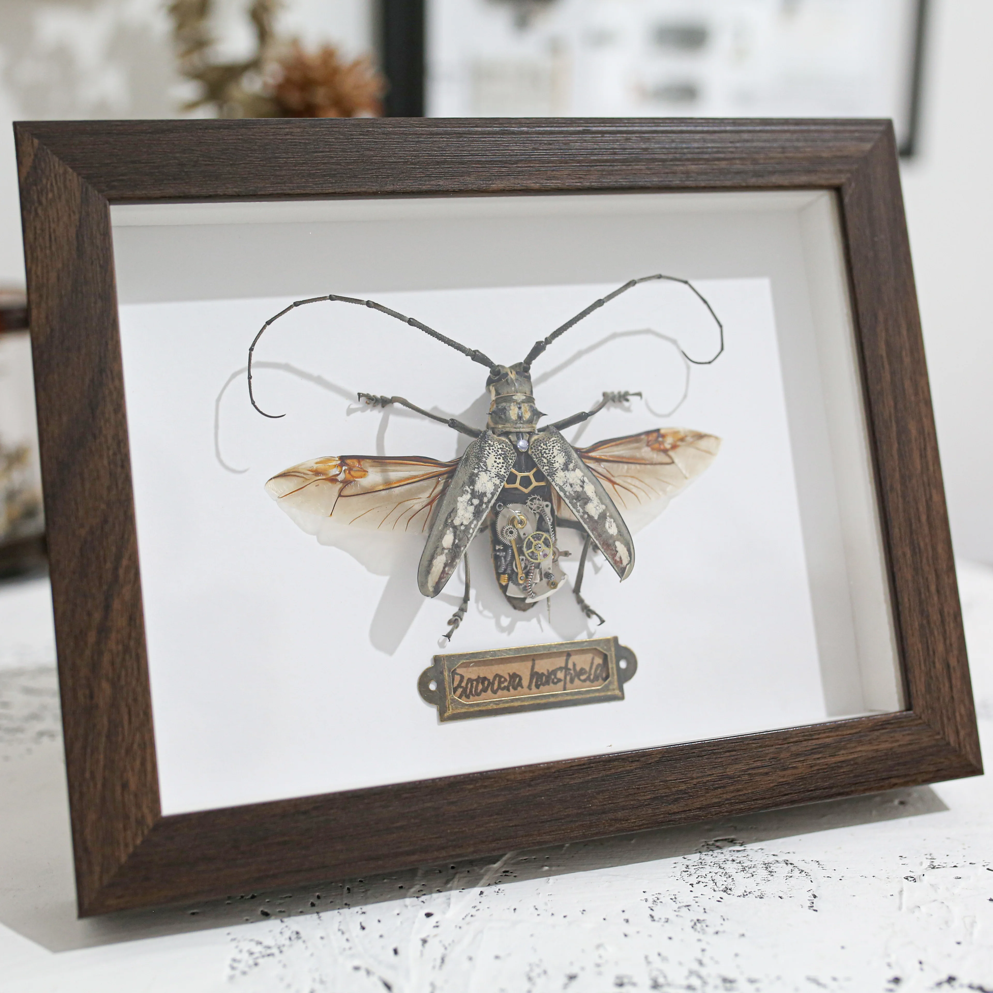 

Steampunk Mechanical Insects Cloud Spotted Aspen Specimens Handmade Creative Crafts Gift Ornaments