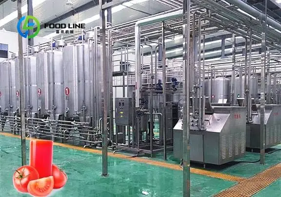 Fully Automatic Tomato Paste Processing Production Line Easy Operation Equipment For Food Processing Factory Use