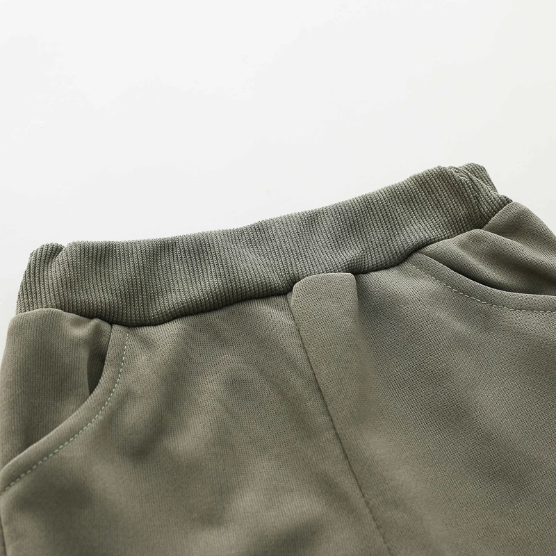 Ensemble à manches longues et col rond pour nourrissons et tout-petits, imprimé dinosaure de dessin animé, deux pièces pour garçons et filles, 2 pièces