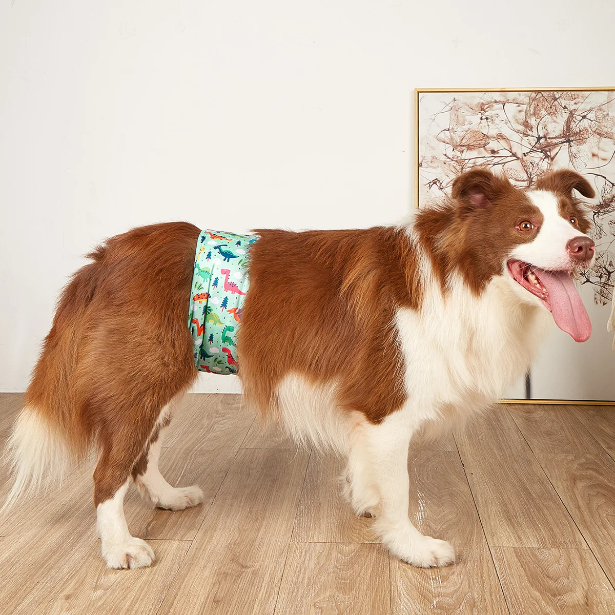 1/3pcs Washable Male Dog Physiological Pant  Adjustable Belly Wrap Band Reusable Sanitary Diaper for Small Large Dog RandomColor