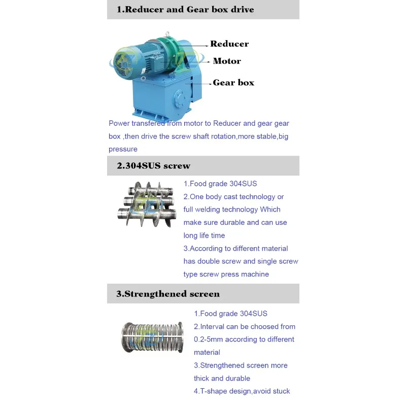 High Quality Fruit Orange Juicer Ginger Apple Mango Lemon Pineapple Cashew Juice Extractor Machine Supplier