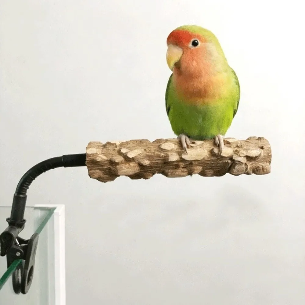 Thumbnail 4 - #18 Trending Bird Perch Stands Right Now