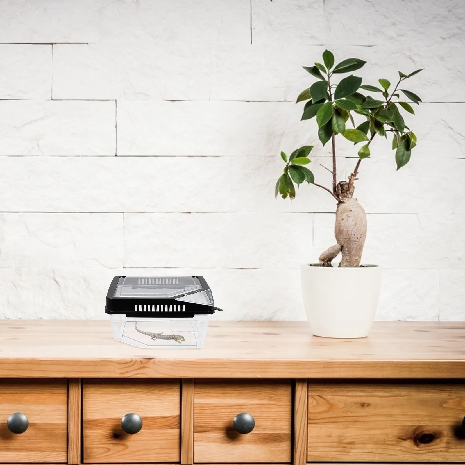 

Plastic Reptile Breeding Box Medium Size Clear Habitat For Turtle Spider Snake Scorpion Hermit Crab Feeding Container