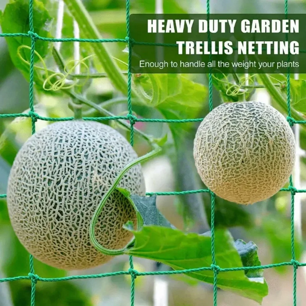 1Pcs Heavy Duty Polyester Plant Trellis Netting Square Mesh Garden Grow Net Support for Climbing Pergola Vegetable Fruit Vine