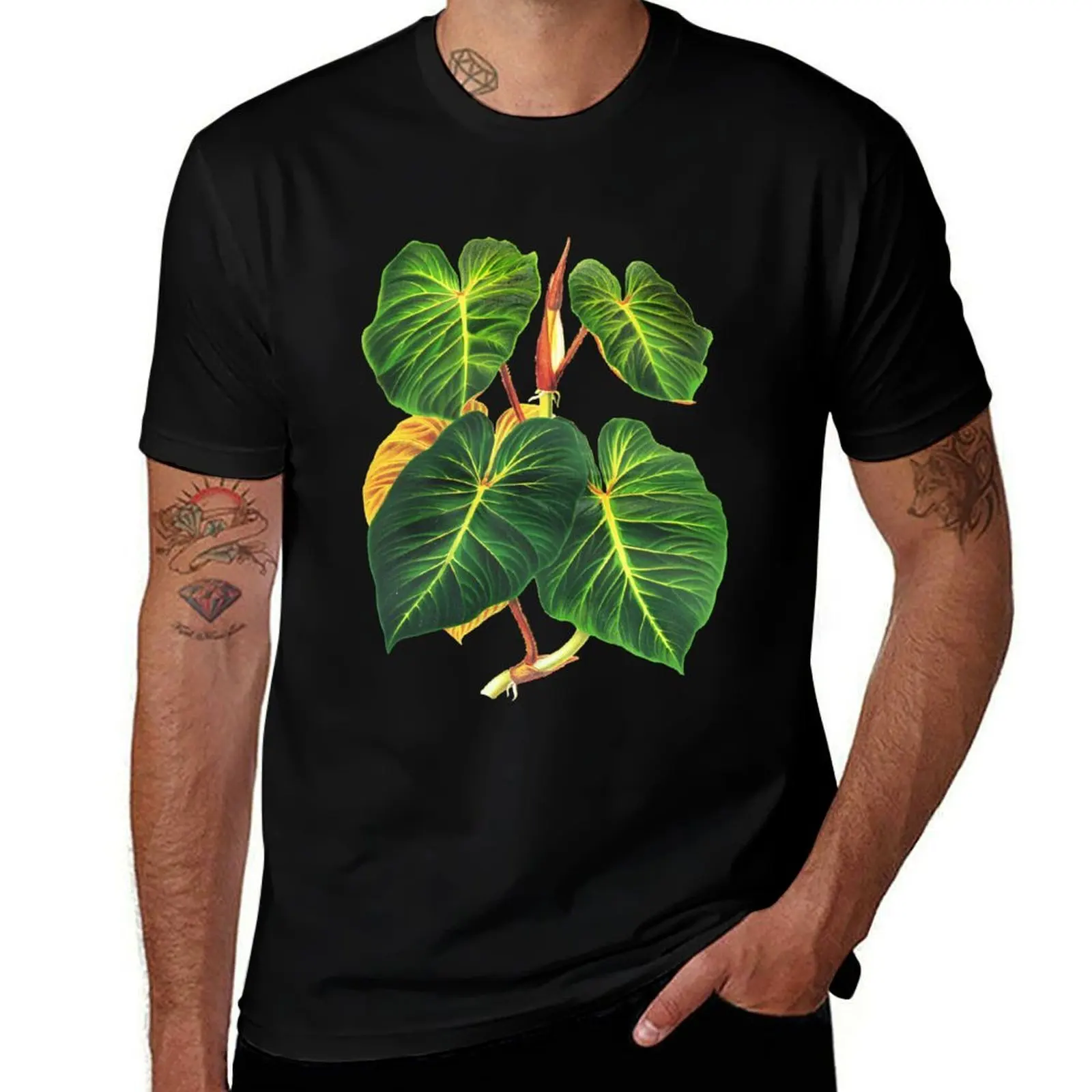 

Philodendron verrucosum botanical illustration T-Shirt graphic t shirts for man cotton t shirt man T-Shirt