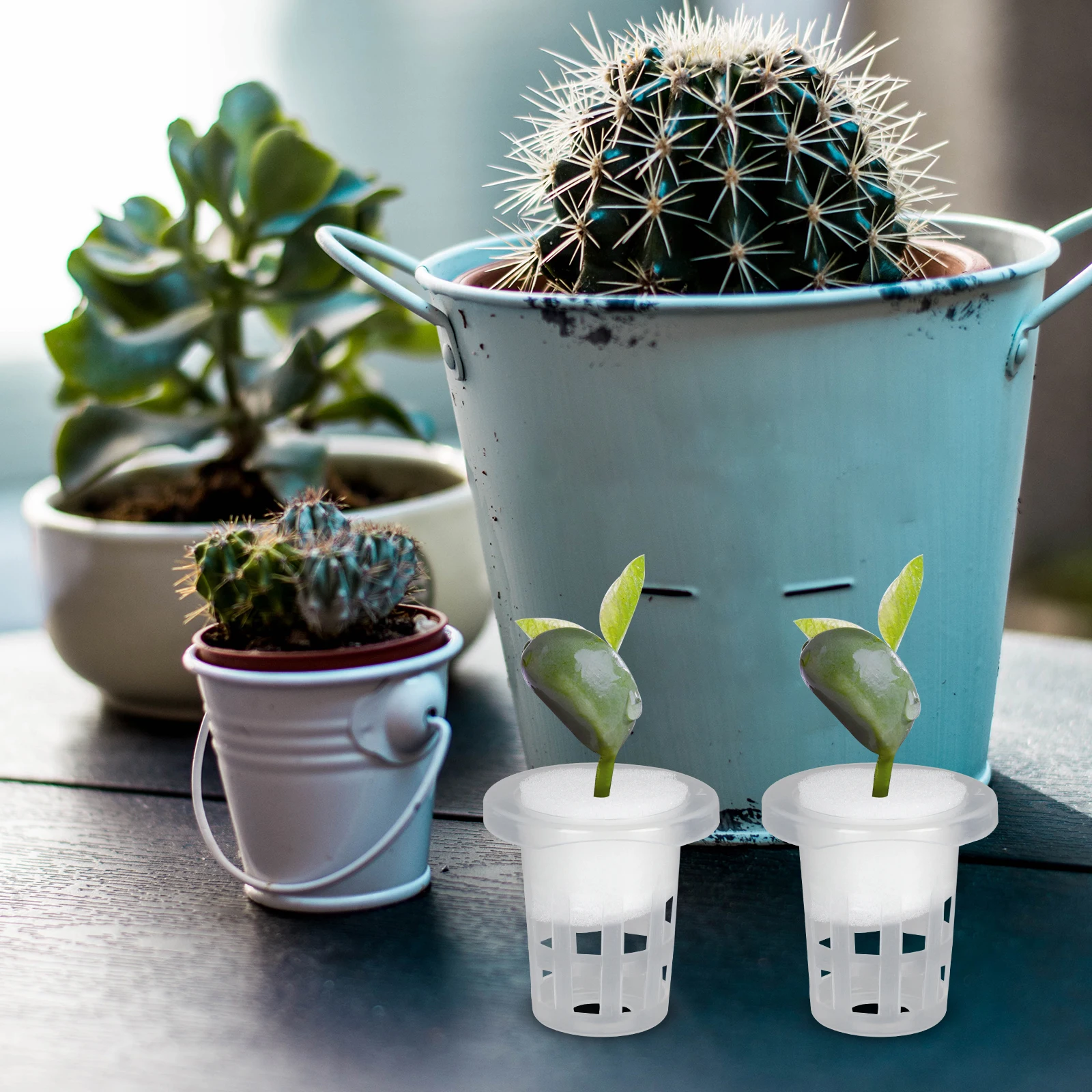 

100 Pcs Hydroponic Planting Baskets Soilless White Net Cups Vegetable Cultivation Garden Supplies Plant Root Fixation Container