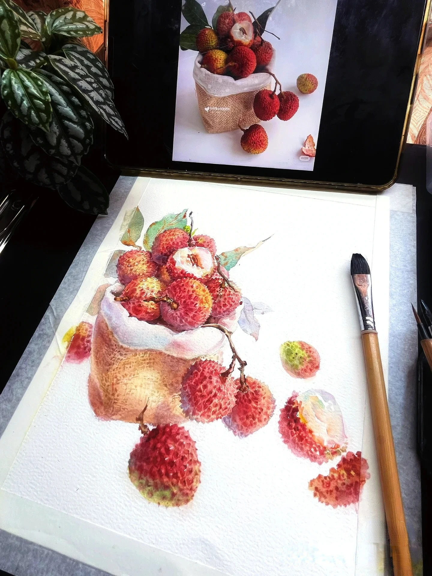 مجموعة ألوان مائية يابانية 24/48 لونًا، لوازم فنية عالية الجودة للفنانين البالغين #5