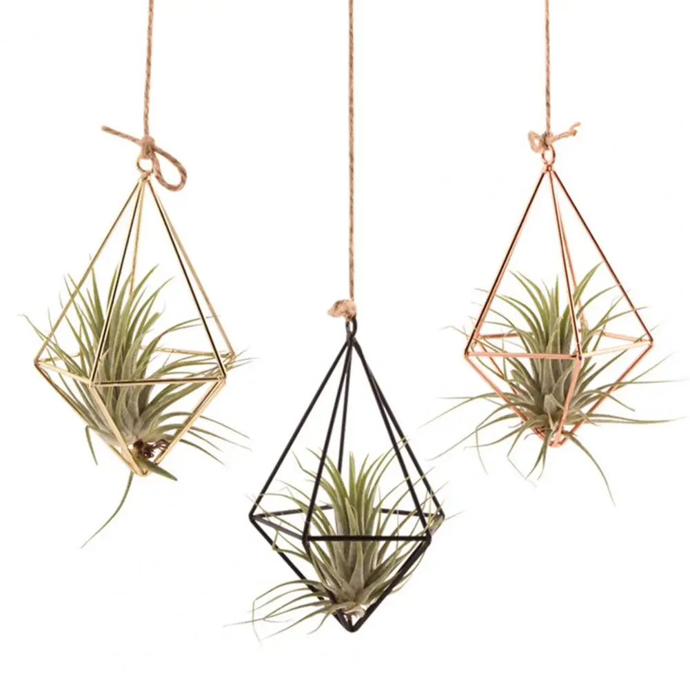 Moderno Macrame Plant Hanger Flower Hanger decorazione della parete Countyard Garden Indoor Air Plant Stand decorativo Air Plant Holder