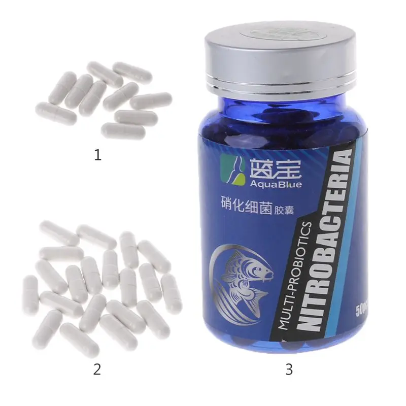 Nitrifying for Ornamental Fish Quickly Establish Nitrification System Dropshipping