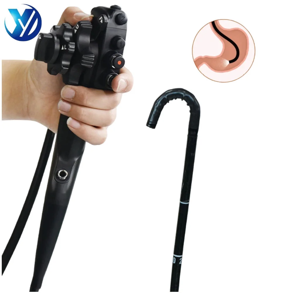 Medical High Definition Flexible Endoscopes for Gastroscopy Electronic Gastroenteroscope Reusable Flexible Gastroscope