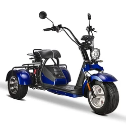 new EEC 2000W electric tricycles 3 wheel electric scooter citycoco trike adult 60v 40AH big battery long drive range