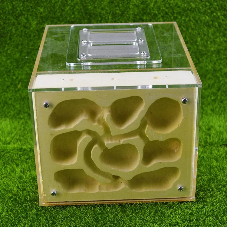 Shiwang Ant House Pet Ant Nest Workshop Breeding Nest Acrylic Gypsum Aerated Brick Closure