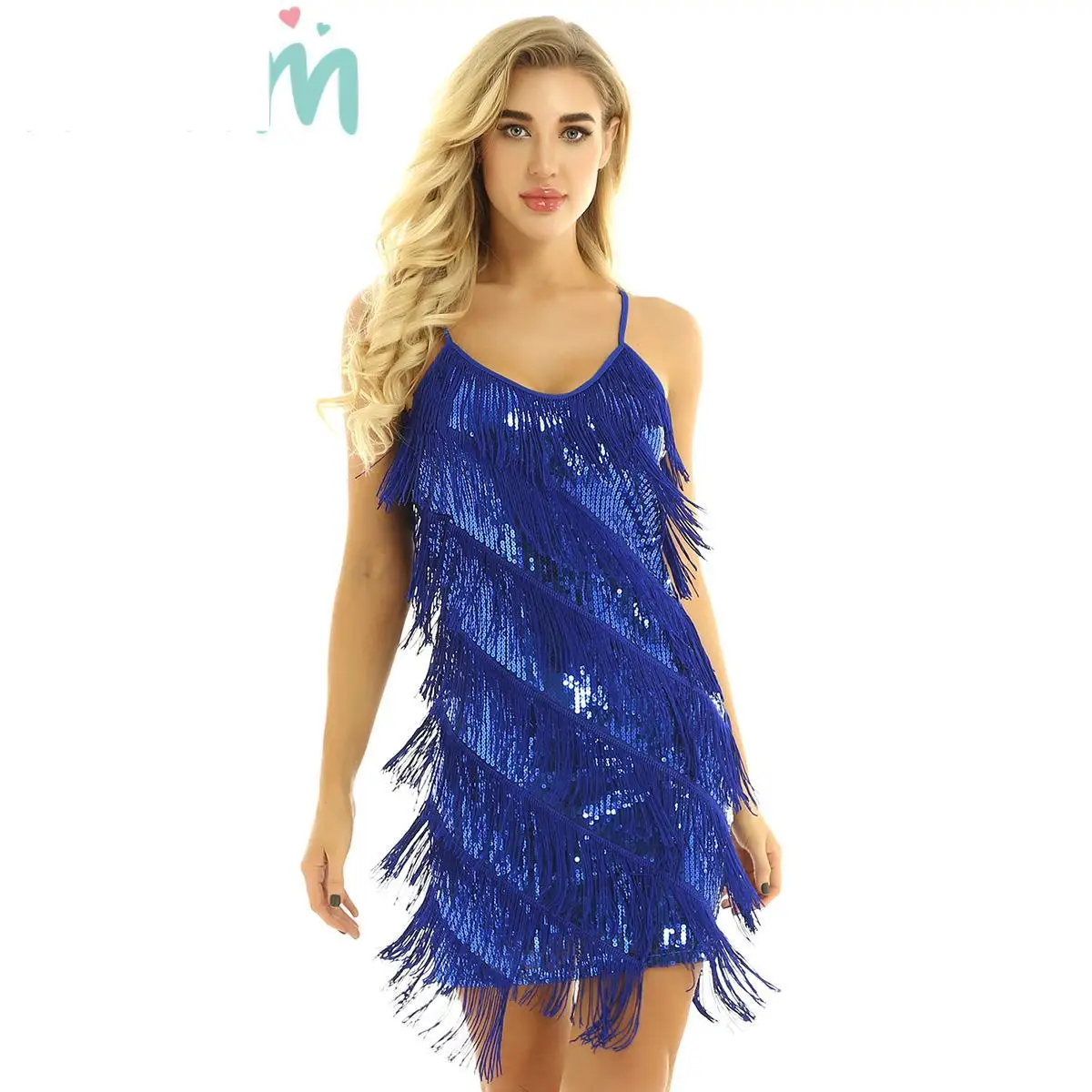 

Adult Women Sequins Fringe Tassel Rhythm Ballroom Samba Rumba Tango Latin Dance Dress Cocktail Party Dancewear Nightclub Costume