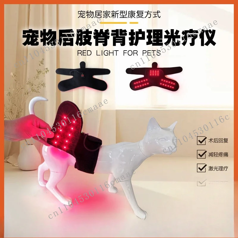 Pet Joint Physiotherapy Belt Red Light Physiotherapy Patella Health Care Relieves Pain and Promotes Blood Circulation