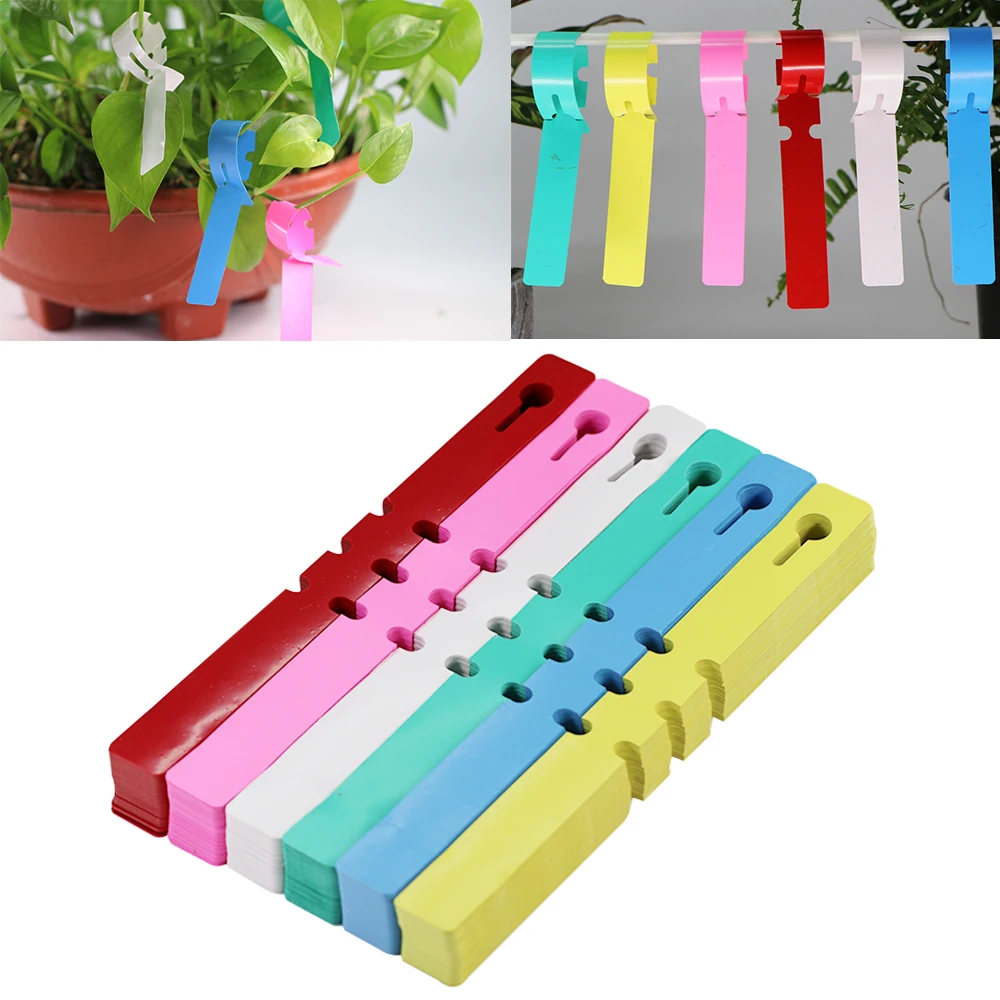 50-100PCS Plant Label Tag Plastic Sign Stakes Planting Supplies Multiple Color Hang Buckle Adjustable Diy Garden Decorating Tool