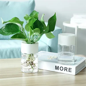 Mini Hydroponic Vase House Vase Decoration Transparent Imitation Glass Plant Plants Without Soil Green Plants for Home Decoration 8 Main Sales Cachepot Decoration - №1