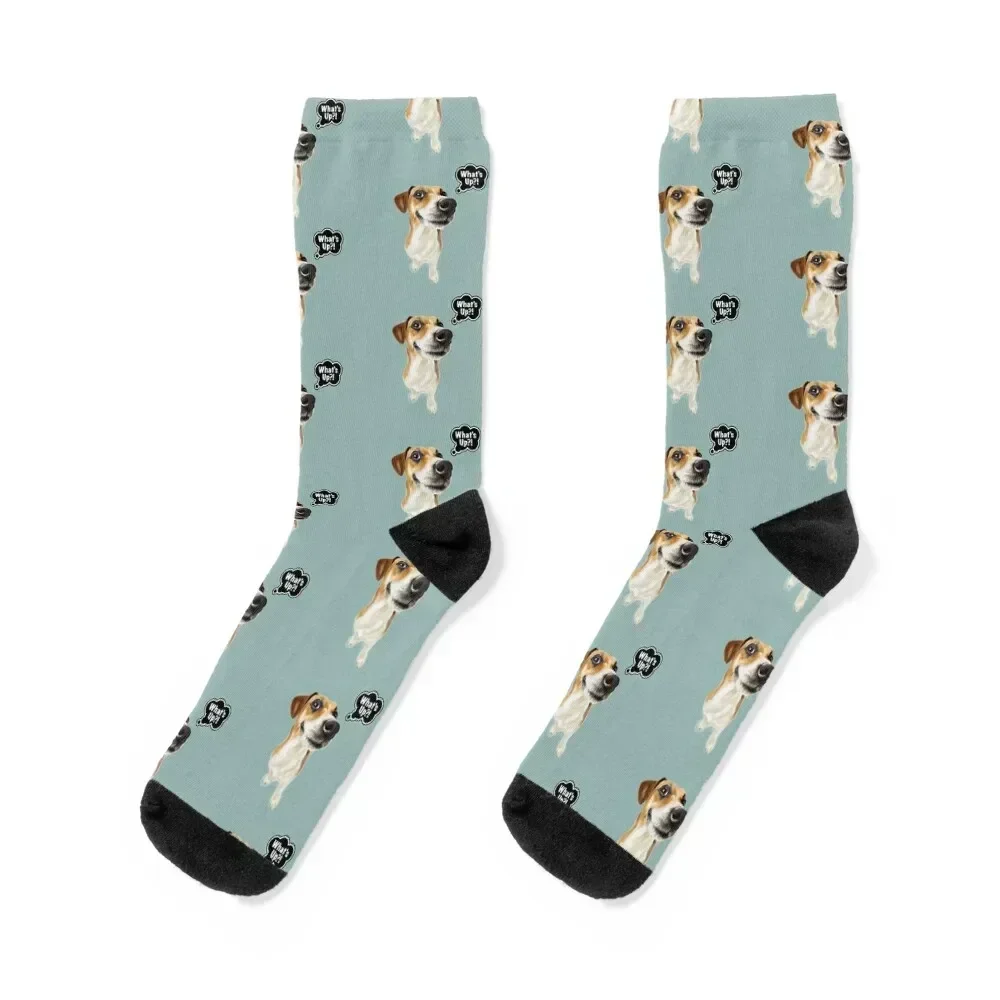 Jack Russell Terrier Whats up Dog Nose Socks Antiskid soccer loose Stockings man Crossfit Socks Ladies Men's