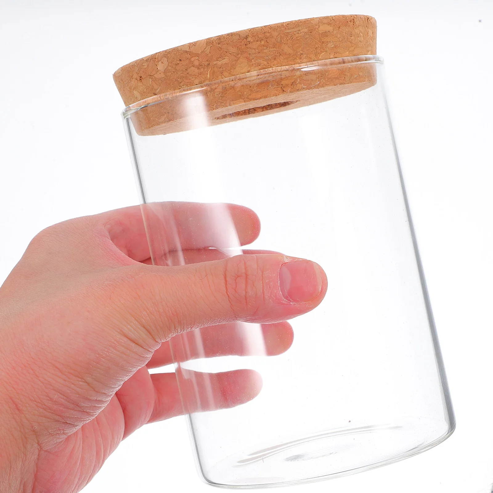 

2 Pcs Vases Hydroponic Plant Bottle Glass Pot Terrarium Container Transparent Propagation Office