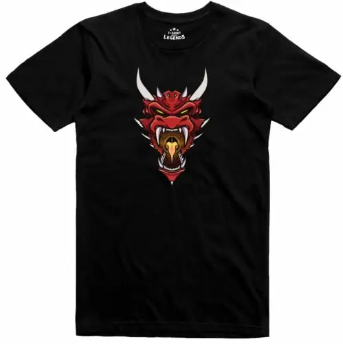 Hommes Fantaisie T Shirt Dragon Rôle de Jeu Donjon Lent Geek Coupe Standard Tee