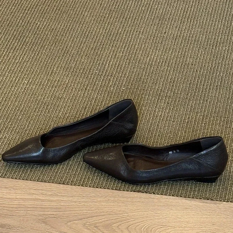 Aneikeh 2026 ربيع مريح موضة أشار تو النساء مضخات أحذية أنيقة فستان الحفلات عادية كعوب منخفضة البغال الصنادل #4