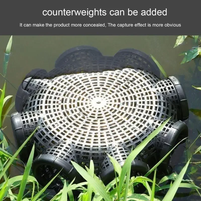 Easy To Carry And S…