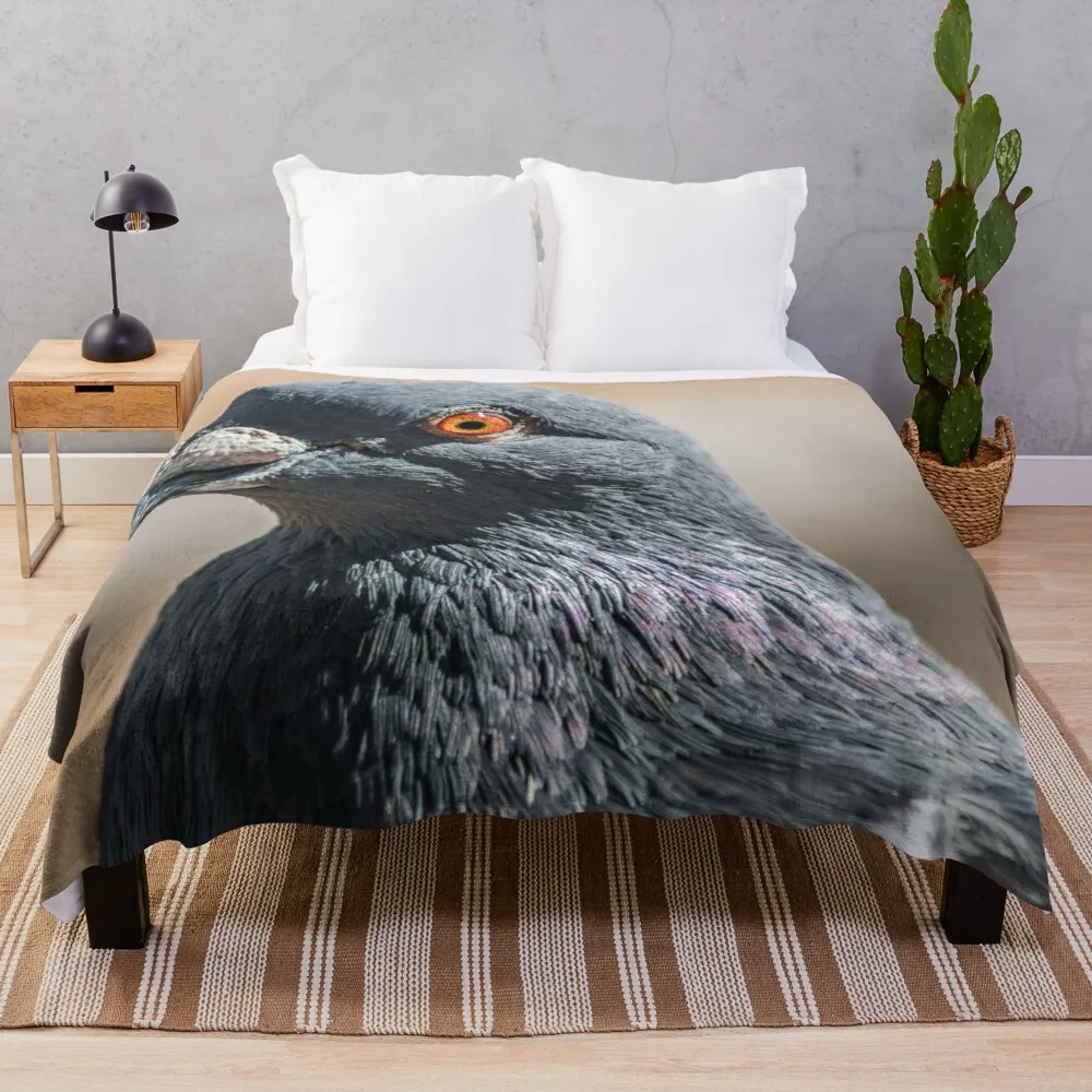 

Pigeon Throw Blanket Beach Blanket