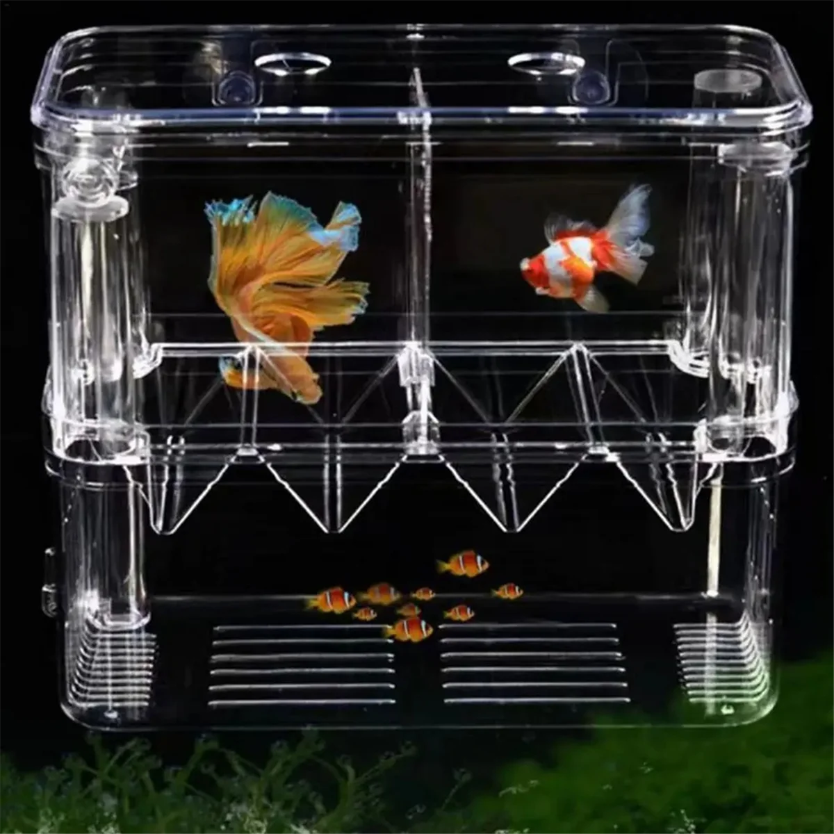 Fish Breeding Box Double-Layer Acrylic Breeding Tank Isolation Box Transparent Detachable Hatching Box for Guppy Shrimp