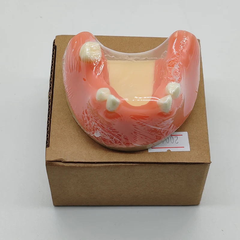 Dental Implant Practice Model for Cutting and Suturing Practices