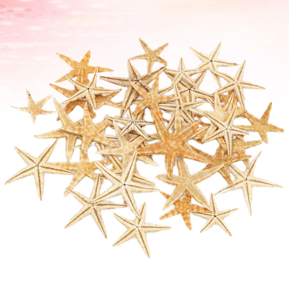 

Decoration Ornaments Mini Desktop Micro Rhinestone Sculpture Sea Beige